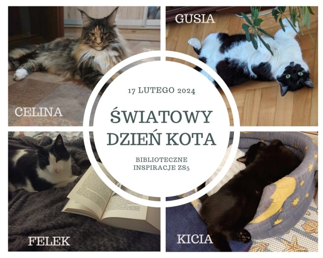 kolaż ze zdjęciami 4 kotów i napis 17 lutego 2024 światowy dzień kota bibioteczne inspiracje zs5