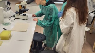 uczeń ogląda próbkę przez mikroskop