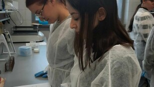 uczniowie w laboratorium badają wpływ temperatury i ph na działanie pepsyny