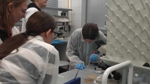 uczniowie barwią bakterie metoda grama w laboratorium