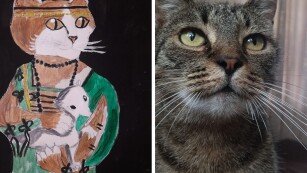 kolaż zdjęcia kota i rysunku kota